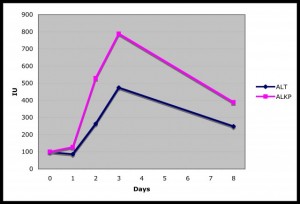 Liver Enzymes Graph, Mason Bone Cancer Study