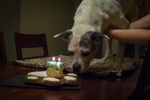 Sasha-13-meets-cake